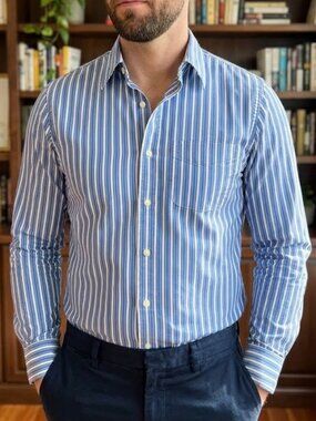Ezra Fitch 100% cotton men’s long sleeve button down shirt size large stripes